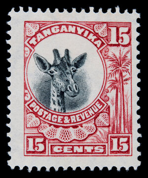 briefmarke stamp vintage retro alt old Tanganyika afrika africa 15 giraffe rot red tier animal post letter head kopf papier paper antik