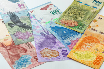 Argentinian currency, all banknotes from the new animal series, white background