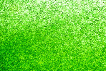 Fototapeta premium green cell macro texture,green cell background,,Foam Bubble from Soap or Shampoo Washing,Poland, Biochemistry, Biotechnology, Laboratory, Wate