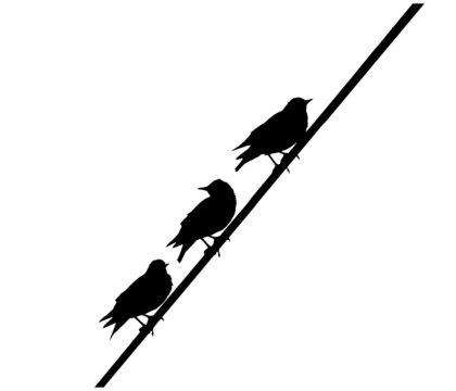 recommend clip art: Starlings birds on wire, silhouette