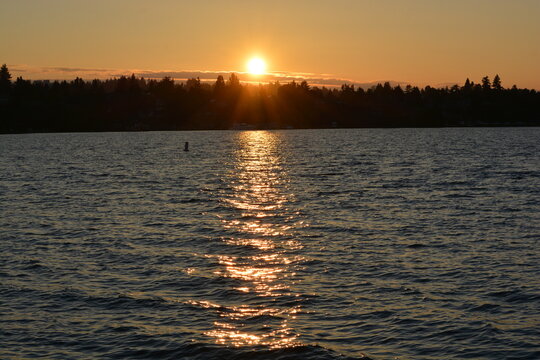 Seward Park Summer Time Walk Towards Sunset