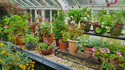 Looking in to a orangery filled with plants