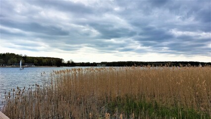 The space of the lake with a straw shore with a blue sky
