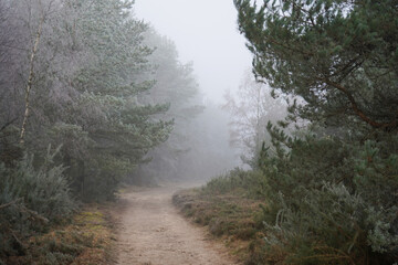 Misty footpath in the countryside