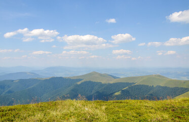 Fototapeta premium Summer natural landscape of a mountain range covered with dense forest and alpine green grassy meadows. Carpathian Mountains, Ukraine