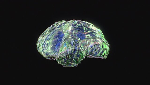 Glowing human brain neural networks flow multicolored fusion isolated motion graphic design