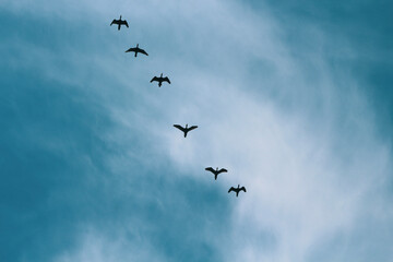 group of planes