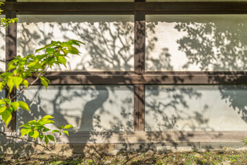 東京都中央区　浜離宮恩賜庭園　日本庭園の芳梅提日本家屋の壁