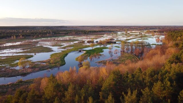 Flying from forest to flooded valley of the river in spring. Flooded river