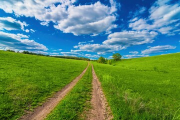 Fototapeta na wymiar long rural road through beatiful green grass lawn hill to forest under cloudy sky