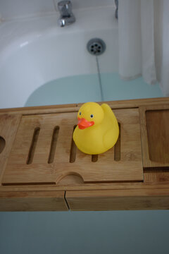 duck in a bath