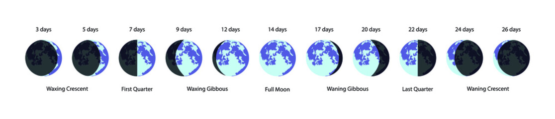 illustration of astronomy and cosmology, the Moonlight Phase, Phases of the Moon, the transitional stages of a lunar eclipse,  astronomical observation