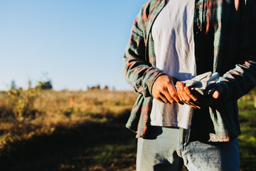 Fototapeta premium Unrecognizable farmer man holding gardening gloves in the middle of the field. Agricultural sustainability concept.