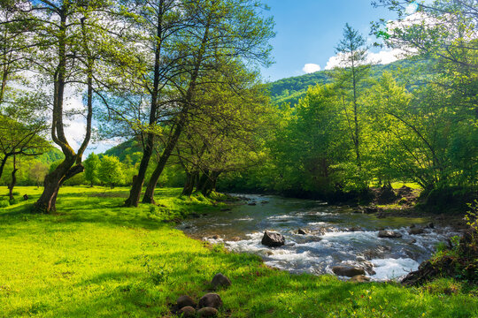 spring landscape with river and trees on the shore. mountains in the distance. sunny day and blue sky with clouds