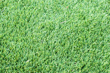 short green artificial grass