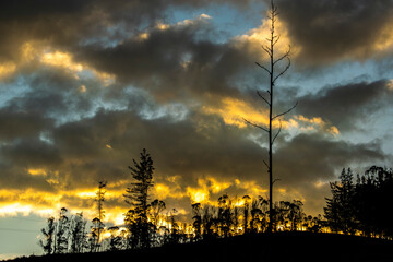 Silueta del atardecer