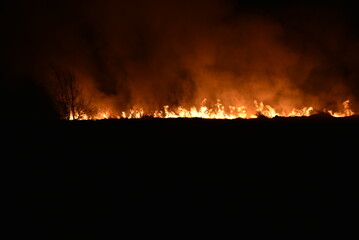Night fire in a field with fire