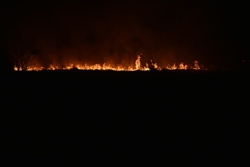 Fototapeta na wymiar Night fire in a field with fire