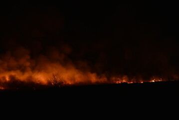 Fototapeta na wymiar Night fire in a field with fire