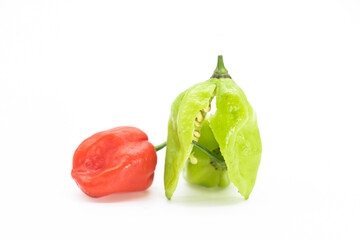 Bhut Jolokia chili pepper or the Naga Morich or naga chili isolate on white