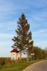 A roadside shrine under a spruce tree