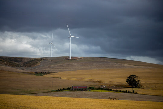 View of Langhoogte Wind Farm in summer, Caledon, Western Cape, South Africa.