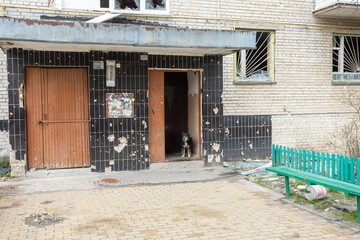 War of Russia against Ukraine. Lonely dog ​​at the shelled entrance to the house