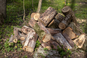 Obraz premium Sawn logs are randomly piled up. Woodpile in the sun. The saw cuts are stacked randomly, close-up. Sawn logs lie in a pile.