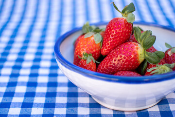 Blue and white ceramic bowl with a few strawberries ready to eat. Summer table with a checkered tablecloth.
