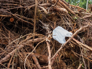 Plastic bag lost in the forest. Environmental and trash problems.