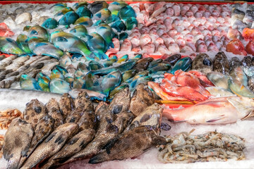 Stand with fresh fish at the fish market in Hurghada, Egypt, Africa