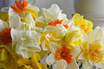 Obraz na płótnie Canvas żółte narcyzy w wazonie (Narcissus), Wielkanoc, świąteczna ozdoba, wielkanocna dekoracja, wiosenne kwiaty, Easter decoration, bouquet of narcissus, daffodils in a vase, bouquet of yellow daffodils. 