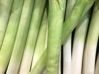 Fototapeta premium Freshly harvested leek from the garden