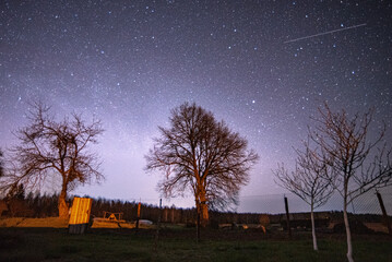 A big old tree on the background of the night starry sky in the countryside (country, village) in...