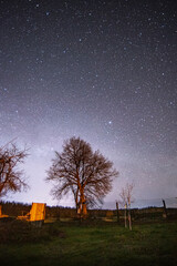 A big old tree on the background of the night starry sky in the countryside (country, village) in spring at night