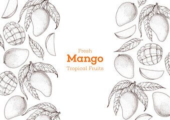 Mango fruit hand drawn package design. Vector illustration. Sketch for design, brochure illustration. Vintage retro design. Mango frame illustration. Can used for packaging design.