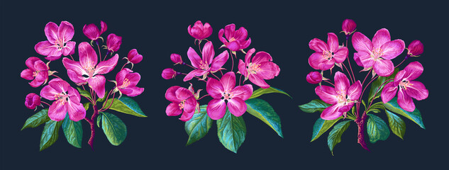 Three vector spring compositions pink blooming apple trees, sakura or cherry. Realistic, detailed clip art. In vector file, select all objects and give them size you want without loss of quality