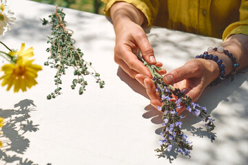 Alternative medicine. Collection and drying of herbs. Woman holding in her hands a bunch of sage flowers.Herbalist woman preparing fresh scented organic herbs for natural herbal methods of treatment. - obrazy, fototapety, plakaty