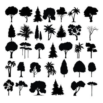 set of silhouettes of trees designs black and white