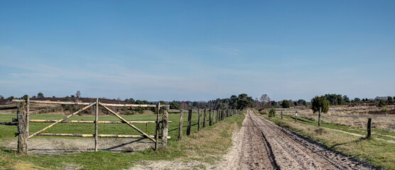 Wide heath landscapes, huge paddocks, endless paths, hiking through the Lüneburg Heath is an...