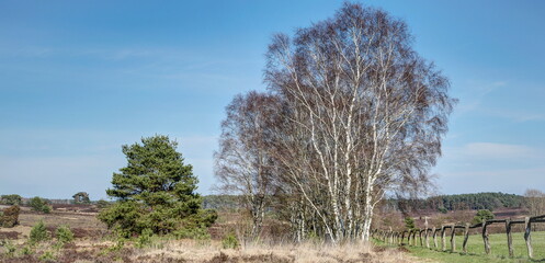 Wide heath landscapes to the horizon, huge paddocks, the Lueneburg Heath offers its visitors also...