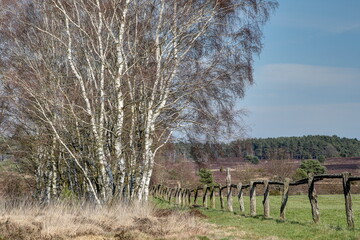 Wide heath landscapes to the horizon, huge paddocks with old wooden fences, the Lueneburg Heath...