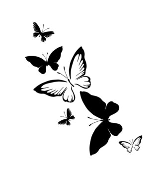 Discover 79+ realistic butterfly outline tattoo - thtantai2