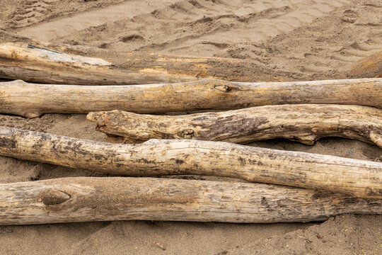 Background.  Drift wood logs on a sandy beach.  Horizontal.  Shot in Toronto's Beaches neighbourhood n spring.