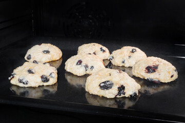 Process of cooking seven homemade crunchy oatmeal raisin cookies on metal sheet in oven. Gastronomy, dessert, cookery, baking and food concept