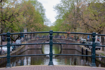 Selective focus of steel bridge railings with blurred traditional canal houses and blue sky as background, New green leave on the tree in spring, Reguliersgracht, Cityscape in Amsterdam, Netherlands.