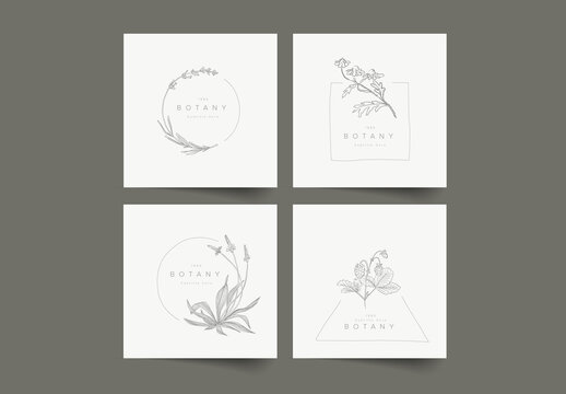 Minimalist Floral Frames Collection
