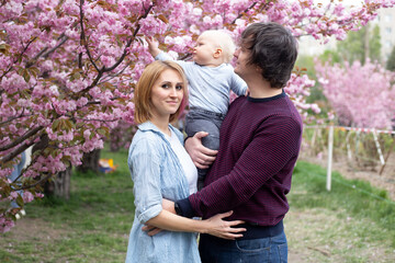 Fototapeta premium young parents with adorable little son in park with Sakura Cherry blossom tree. Happy mother and child.