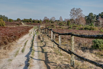 Along the old weathered wooden fence leads the seemingly infinite trail through the nature reserve Luenburger heath which offers hikers a great nature experience in spring as well.