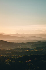 Landschaft im goldenen Licht